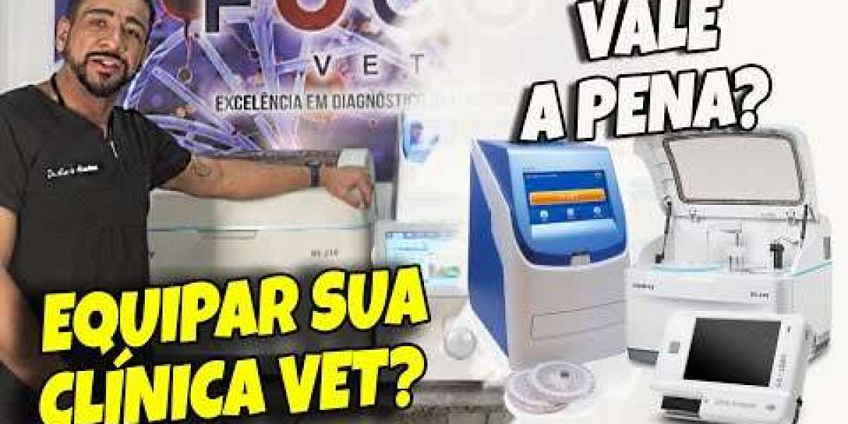 Investindo na Saúde do Seu Pet: Conheça os Custos do Ecocardiograma Veterinário