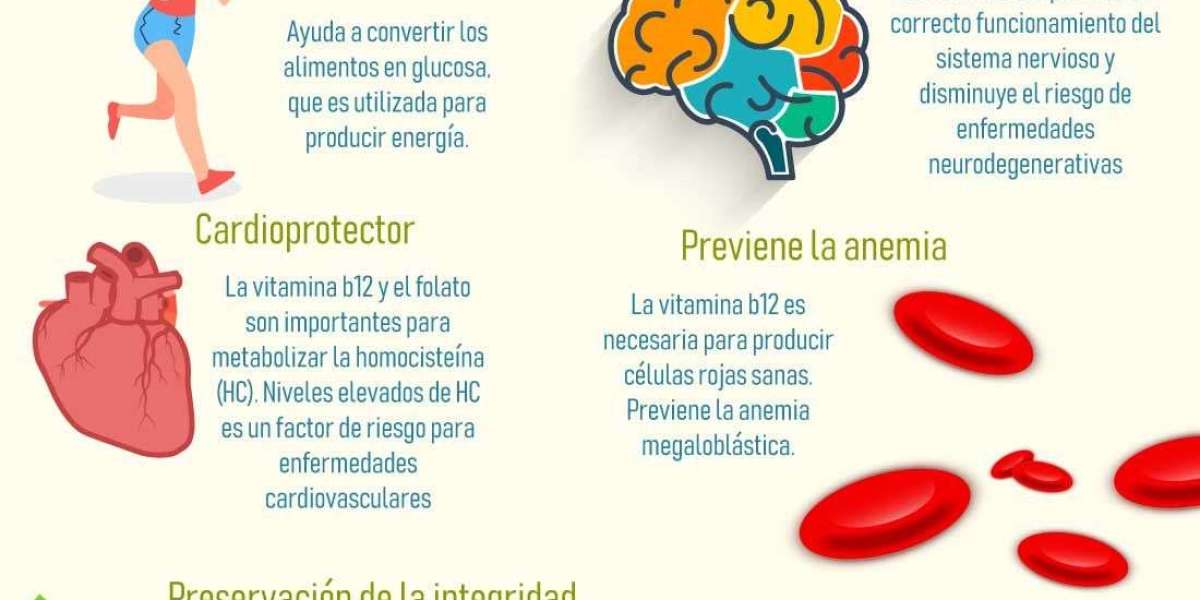 La vitamina B12, actor clave en reprogramación celular y regeneración de los tejidos